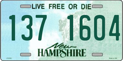 NH license plate 1371604