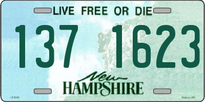 NH license plate 1371623