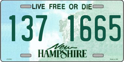 NH license plate 1371665