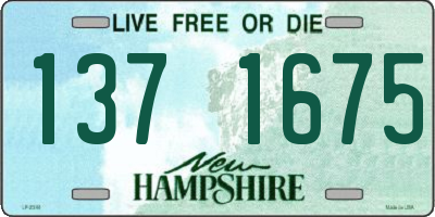 NH license plate 1371675