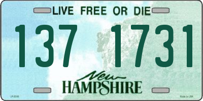 NH license plate 1371731