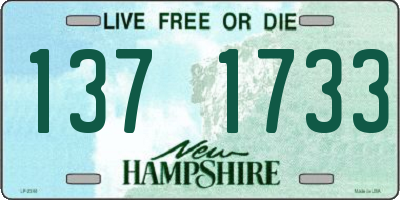 NH license plate 1371733