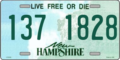 NH license plate 1371828