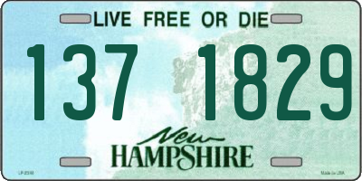NH license plate 1371829