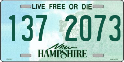 NH license plate 1372073
