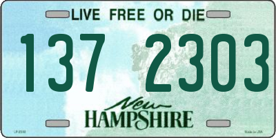 NH license plate 1372303