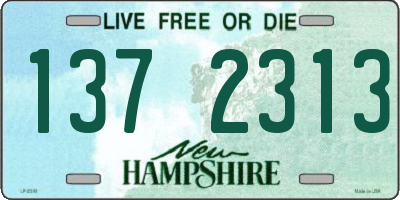 NH license plate 1372313