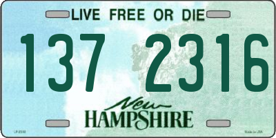 NH license plate 1372316