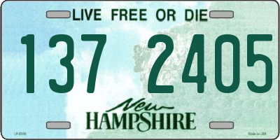 NH license plate 1372405