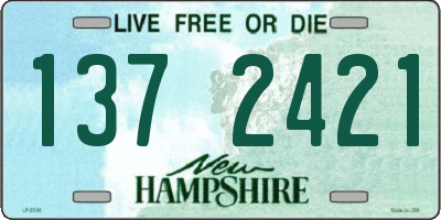NH license plate 1372421
