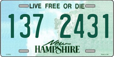 NH license plate 1372431