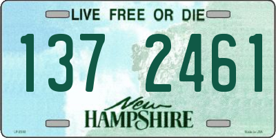 NH license plate 1372461