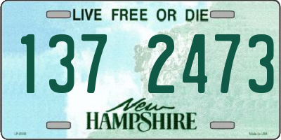 NH license plate 1372473