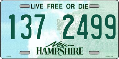 NH license plate 1372499
