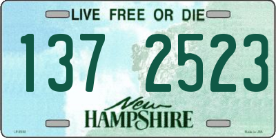 NH license plate 1372523
