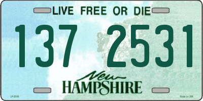 NH license plate 1372531