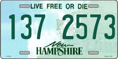 NH license plate 1372573