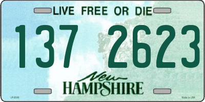 NH license plate 1372623