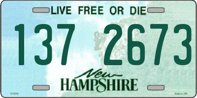 NH license plate 1372673