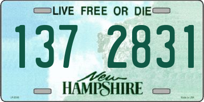 NH license plate 1372831