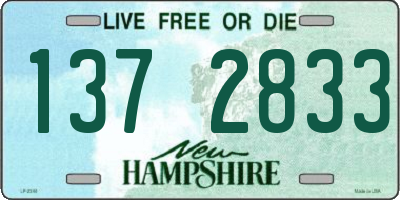 NH license plate 1372833