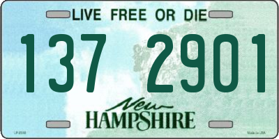 NH license plate 1372901