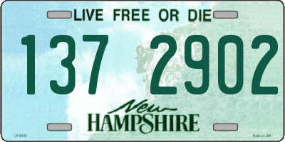 NH license plate 1372902