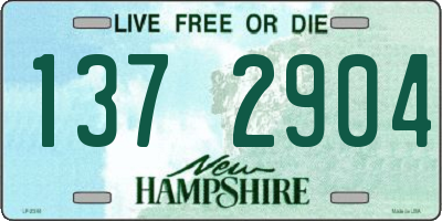 NH license plate 1372904