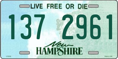 NH license plate 1372961