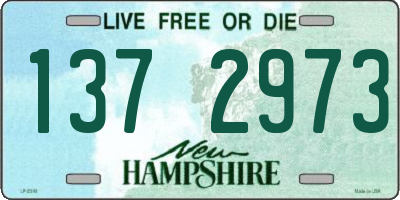 NH license plate 1372973