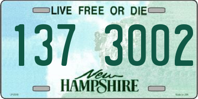 NH license plate 1373002