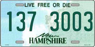 NH license plate 1373003