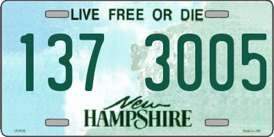 NH license plate 1373005