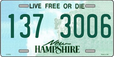 NH license plate 1373006