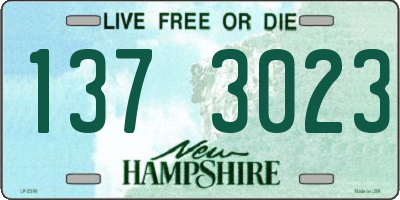 NH license plate 1373023