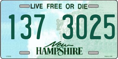 NH license plate 1373025