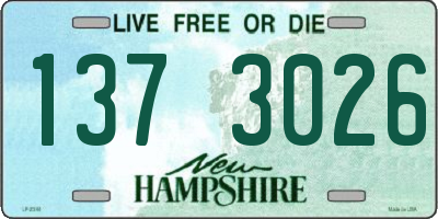 NH license plate 1373026