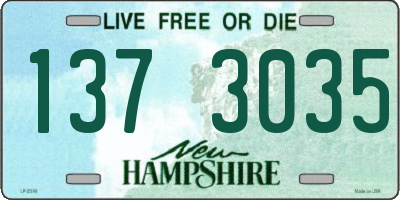 NH license plate 1373035
