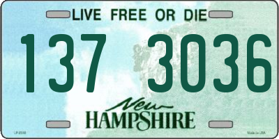 NH license plate 1373036