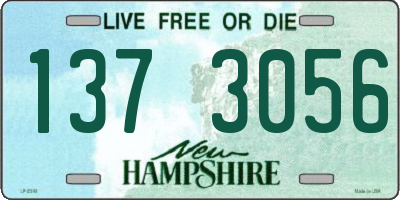 NH license plate 1373056