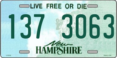 NH license plate 1373063