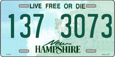 NH license plate 1373073