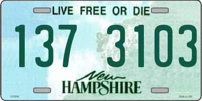 NH license plate 1373103