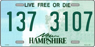 NH license plate 1373107