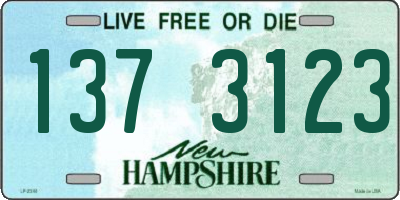 NH license plate 1373123