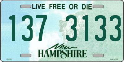 NH license plate 1373133
