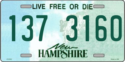 NH license plate 1373160