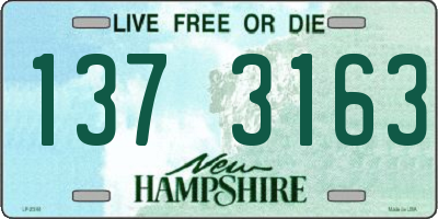 NH license plate 1373163