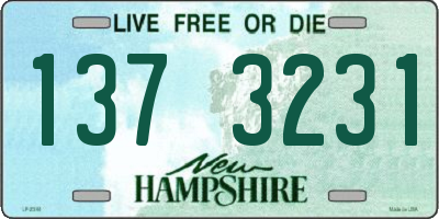 NH license plate 1373231