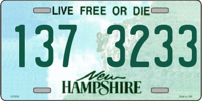 NH license plate 1373233